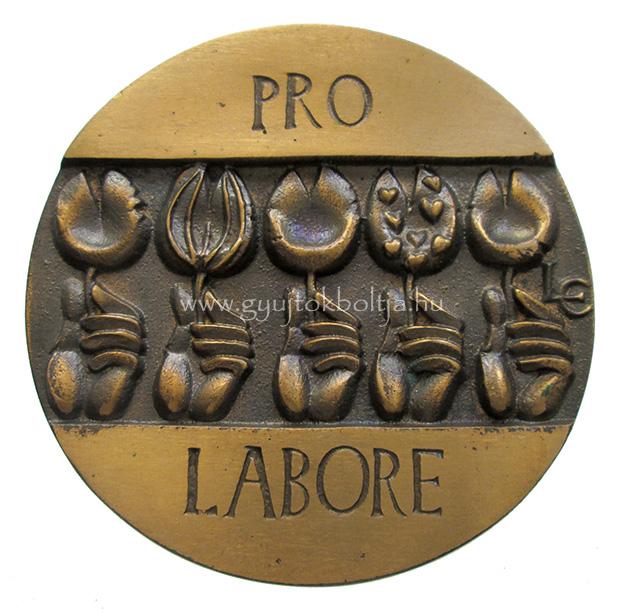 Ligeti Erika: Pro Labore /Munk��rt/ kit�ntet� plakett